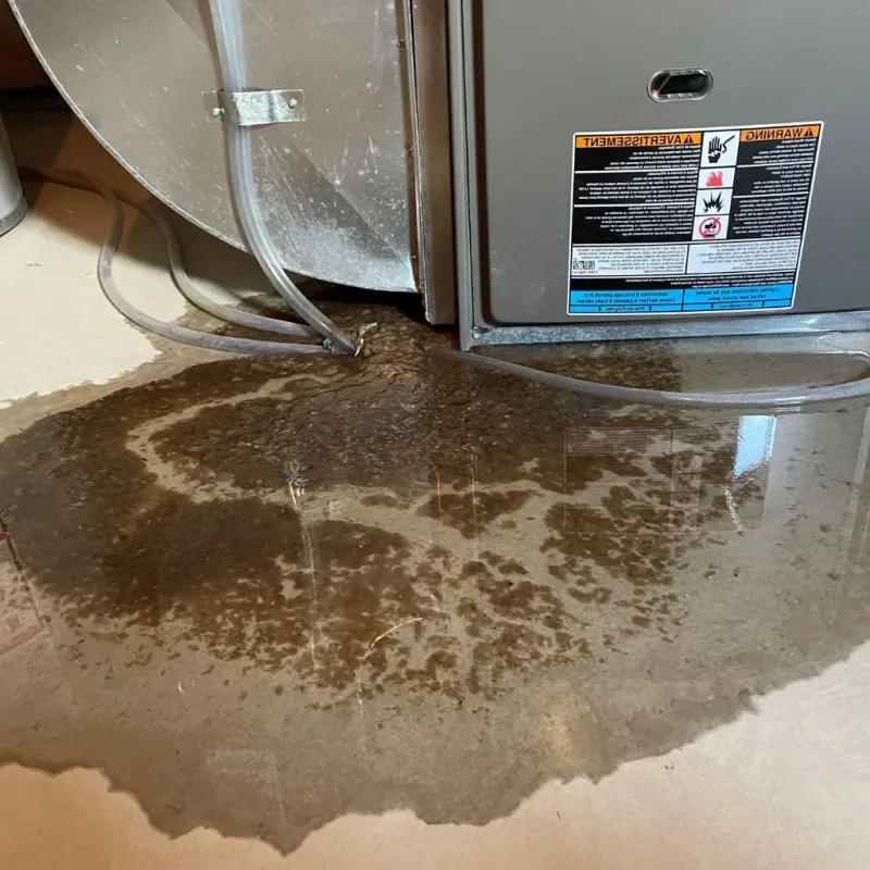 Pipe Burst and Leak Restoration in Hickory County, MO