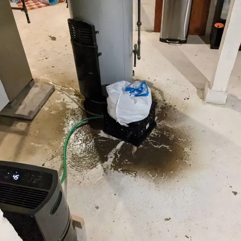 Sewage Backup Cleanup Service in Hickory County, MO